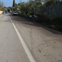 Auto fuori strada sulla S.P. 43 a poca distanza dal Santuario del SS. Salvatore