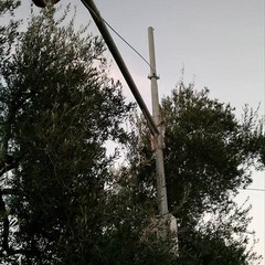 Telecamere danneggiate su via SS. Salvatore