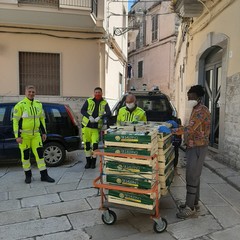volontari dell'Associazione Naturalista Federiciana Verde OdV di Andria