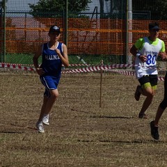 DSC x