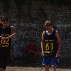 DSC x