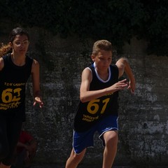 DSC x