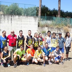 DSC x