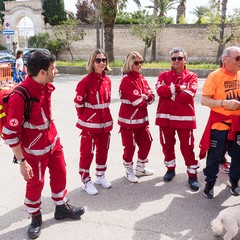 12 ^ edizione della Marcia Mariana ispirata ai valori di amicizia, unione e libertà