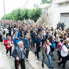 La lunga processione  e i festeggiamenti in onore della Madonna dell’Altomare