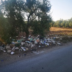 rifiuti abbandonati sulle aree pubbliche