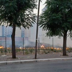 Incendio di sterpaglie nei pressi di via Vecchia Barletta