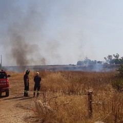 Incendio in contrada Lamapaola: a fuoco semiarborato e cumuli di rifiuti