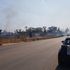 Incendio in contrada Lamapaola: a fuoco semiarborato e cumuli di rifiuti