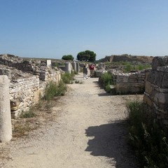 Vespa Tour “Nelle terre di Federico”