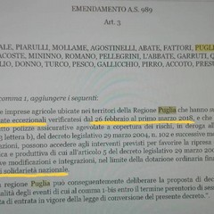 emendamento