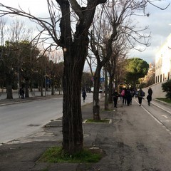 incidente stradale su viale Gramsci