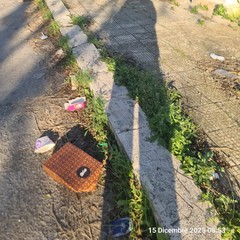 Zona PIP invasa dai rifiuti delle attività della ristorazione