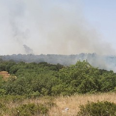 incendio contrada Pandolfelli