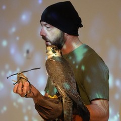 Falconiere con falcone Exploring Federico