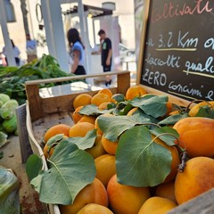 Mercato Contadino della città di Andria