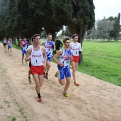 FB IMG