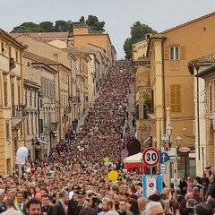 Pellegrinaggio Macerata-Loreto: "Un cammino irriducibile"