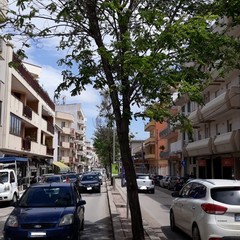 via Montegrosso e via Puccini caduta alberi