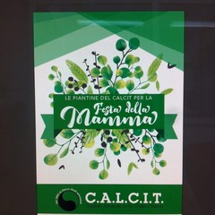 CALCIT di Andria