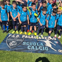 Festa FIGC Fidelis Andria