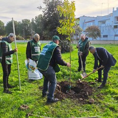 Festa dell’Albero: manifestazione di Fareambiente