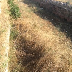pulizia del tratto urbano del canalone Ciappetta Camaggio