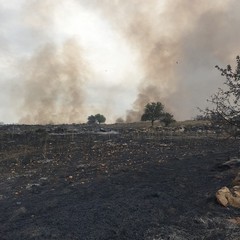 oltre 100 ettari in fumo sulla Murgia, tra Minervino ed Andria