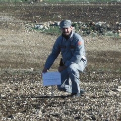 Alta Murgia: dissodamento abusivo terreni e bracconieri ancora in azione