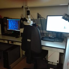 foto laboratorio anatomia IRCCS