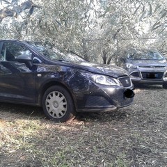 foto auto rubate