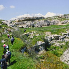 Parco Nazionale dell’Alta Murgia