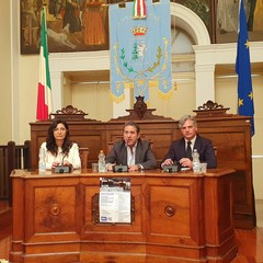 Convegno "Alcol e problematiche correlate" nella sala consiliare di Palazzo di Città ad Andria