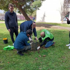 3place dona alberi alla scuola "Antonio Mariano" (Foto pagina Fb 3Place)