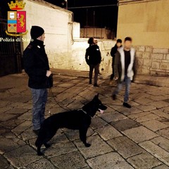Controlli a tappeto della Polizia di Stato