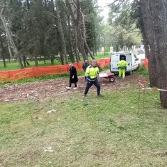 foto Pineta Castel del Monte inizio lavori