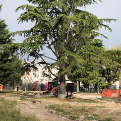 foto Riqualificazione di Piazza Umberto I