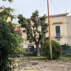 foto Riqualificazione di Piazza Umberto I