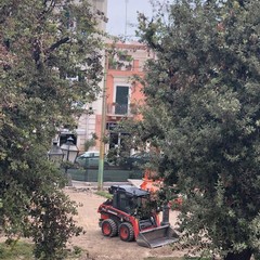 foto Riqualificazione di Piazza Umberto I