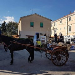 Festa di San Martino a Montegrosso