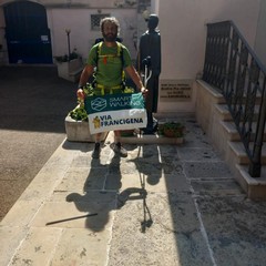 Comitato “Via Francigena del Sud - Corato Andria Ruvo Bitonto”