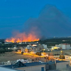 Incendio di sterpaglia