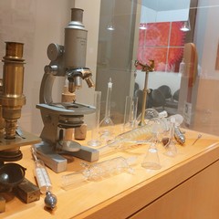 Il laboratorio di analisi GaMiLab compie settant'anni