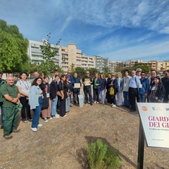 Giardino dei Giusti