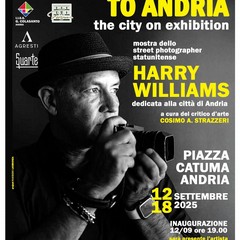 Harry Williams