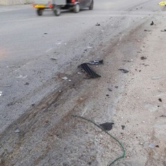 incidente sp 231 Andria Canosa di Puglia