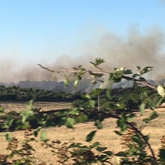 incendio zona Castel del Monte