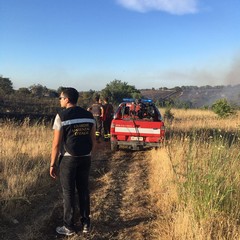 incendio zona Castel del Monte