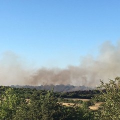 incendio zona Castel del Monte