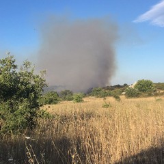 incendio zona Castel del Monte